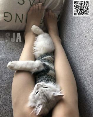 幽灵狙击在线观看免费完整版_剧情片免费观看最新
