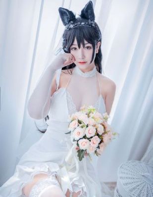 2046影视大全最新版_免费观看