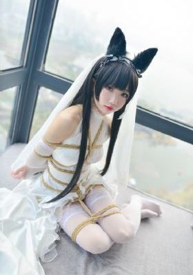 91精品官网视频_720高清视频观看